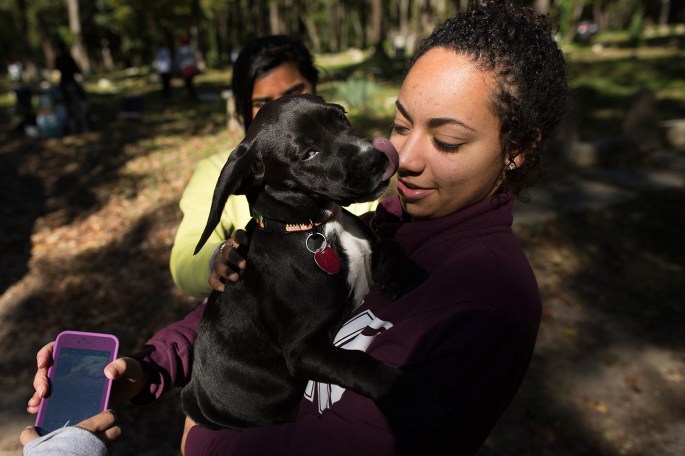 web_export_20161022_east_end_cemetery_tancil_stone_dedication_and_beauty_0070