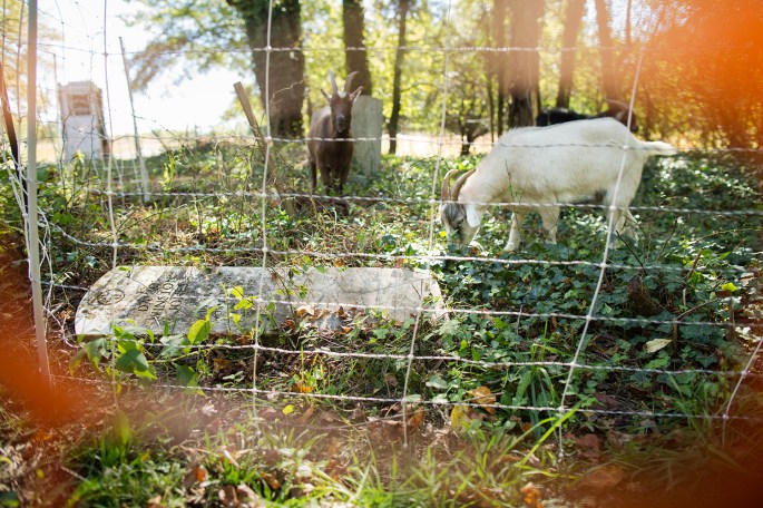 web_export_20161022_east_end_cemetery_tancil_stone_dedication_and_beauty_0160