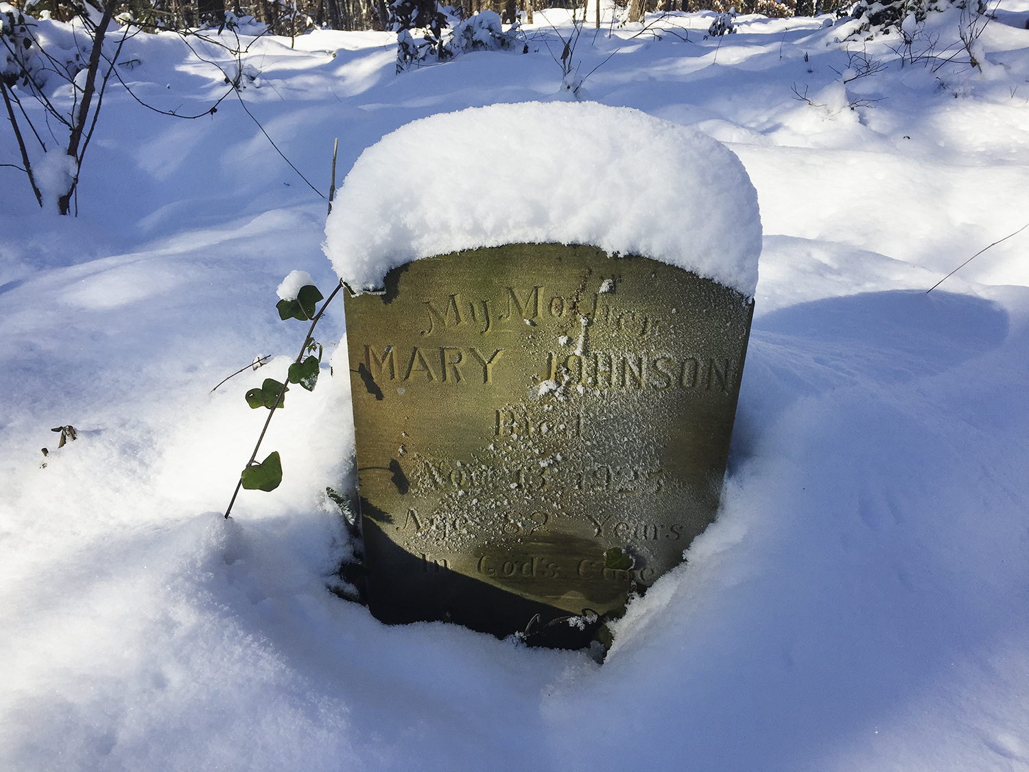 erin_web_20170108_image2