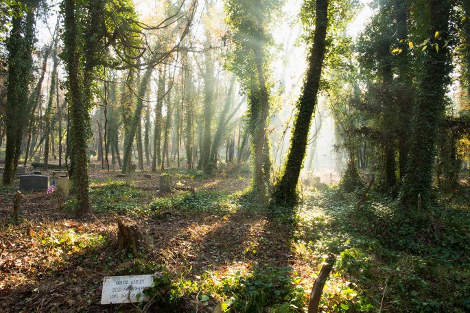 web_export_20161119_east_end_cemetery_photo_only_5d2_1_of_3_0011