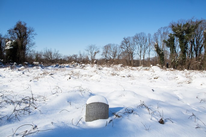 web_export_20170108_evergreen_cemetery_richmond_va_0052